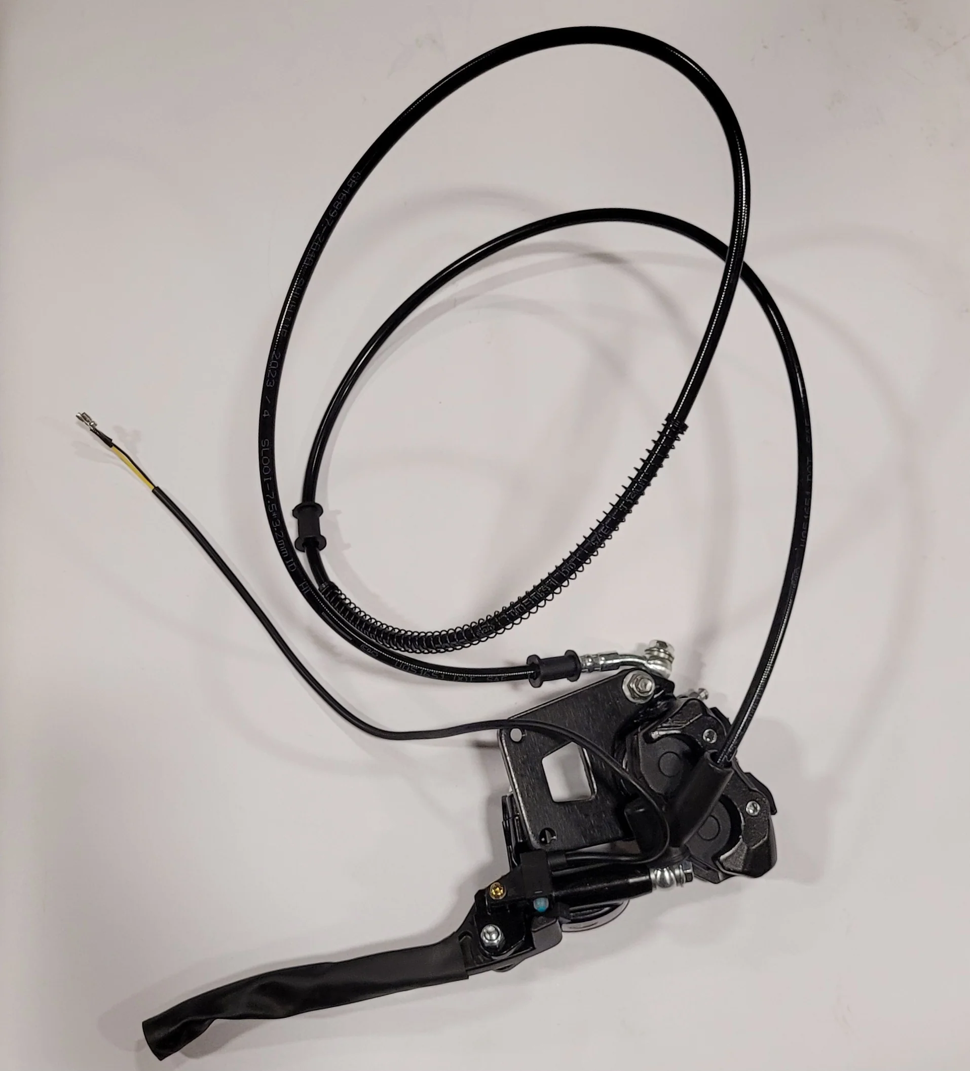 G2000 Rear Brake Assembly