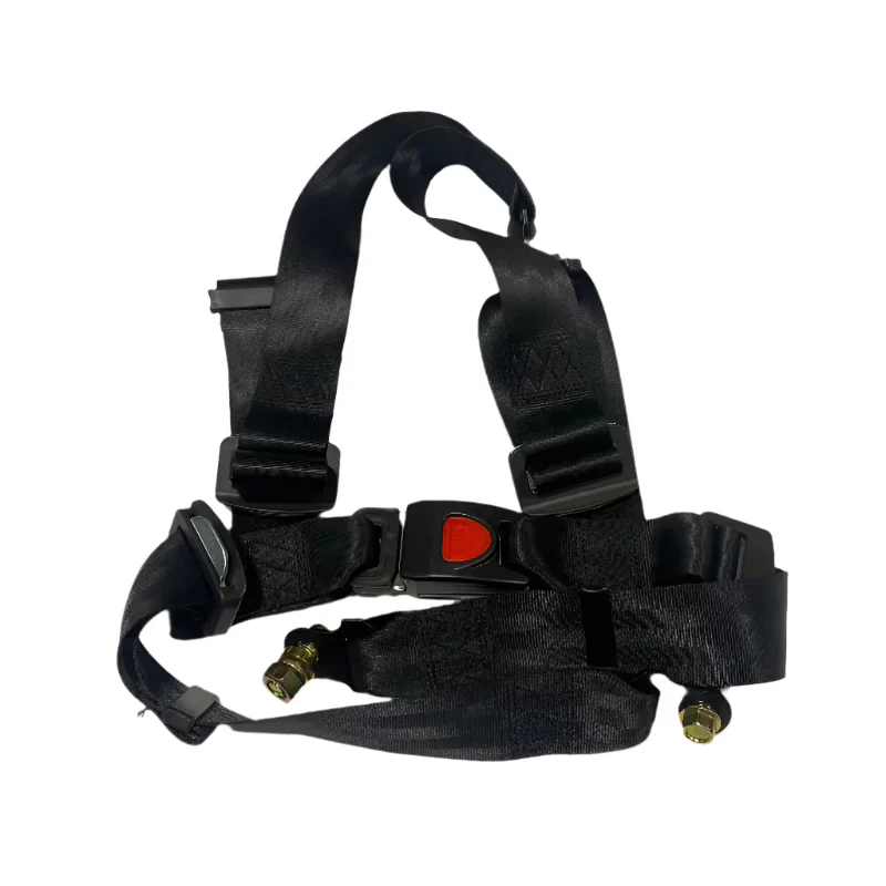 GT125 2024 Seat Belt