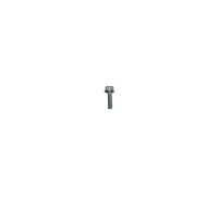 MarineWarehouse/BRP-5030391__76897.1722490247