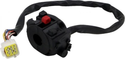 Switch - 150cc to 600cc, ATV, 300cc, 2x4, 4x4 and 4x4 IRS - 10A8131 - PBC1994F1