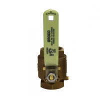 WSF/GRO-IBV-1250