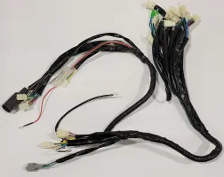 Blazer 200HS Wire Harness - TAO TAO MOTOR / GIO PARTS - PBCB200HSWH
