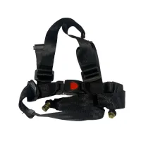 GT125 2024 Seat Belt