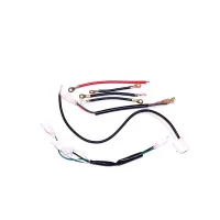 Manteray Wire Harness - PBC100XL