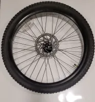 Front Wheel Complete (Gio Peak)