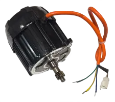 Tessa Motor 48v/60v 500W
