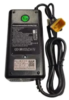 Wasp charger