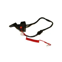 Arctica Accelerator with Emergency Shut Off Switch - PBC1610XL