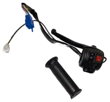 Tessa Switch + Brake Handle